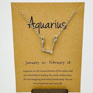 Silver Aquarius Constellation Necklace - NWT